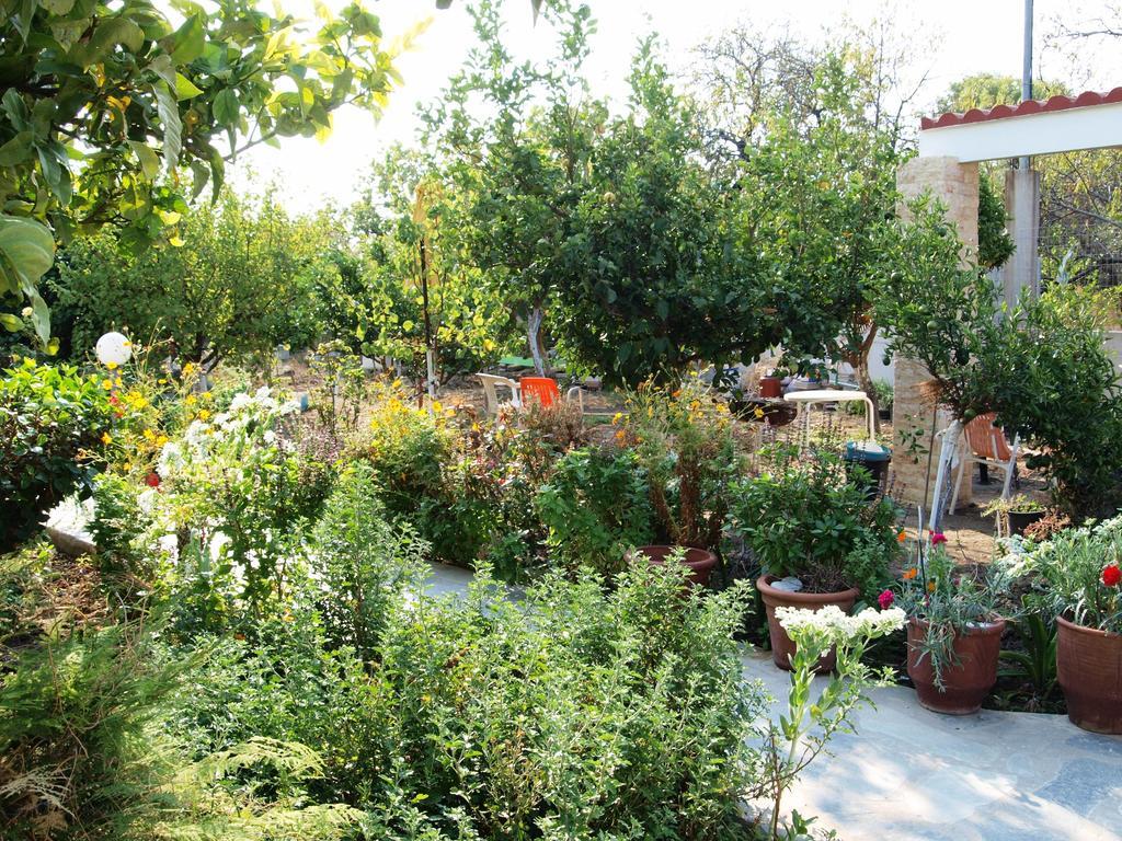 Double Room Garden View,110588223:JPEG
