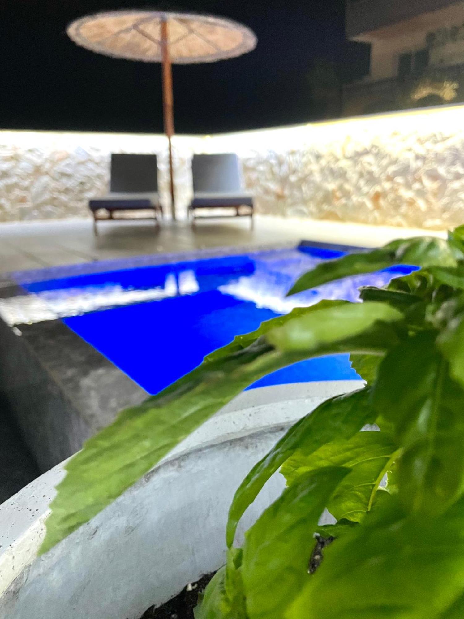 One-Bedroom Apartment Private Plunge Pool