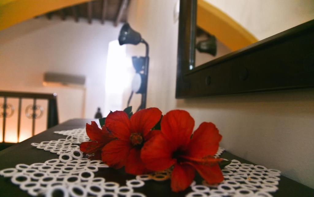 Studio en Duplex