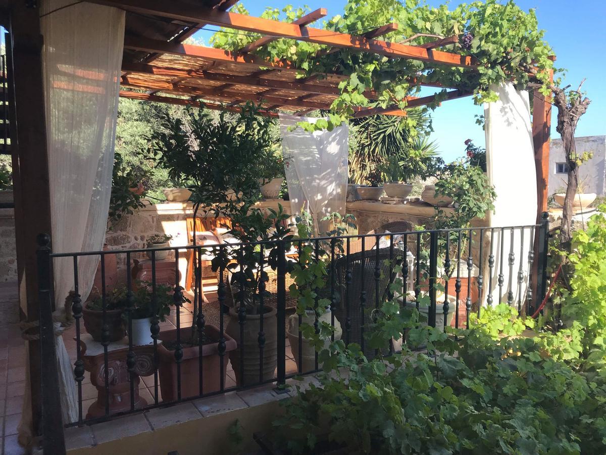 Apartment Terrace,666253014:JPEG