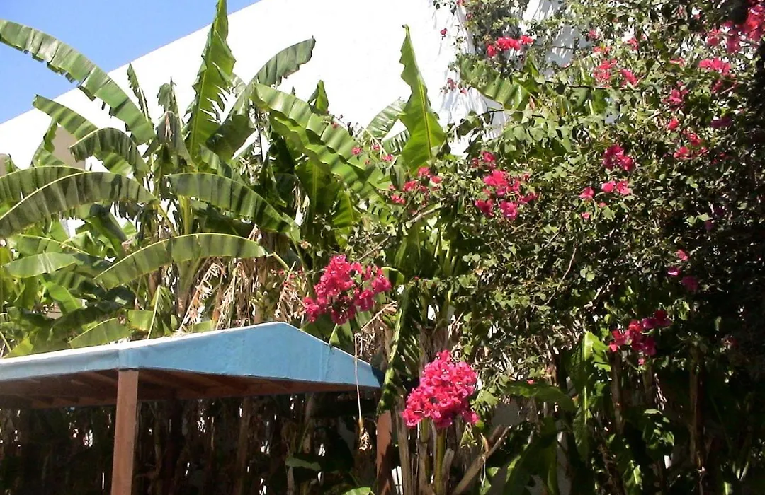 Sea Breeze 2 Apartments-1