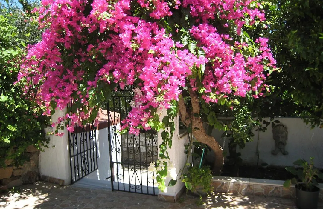 Eleftheria Lindian Studios II-1