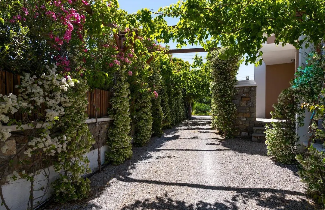 Horizon Line Villas-1