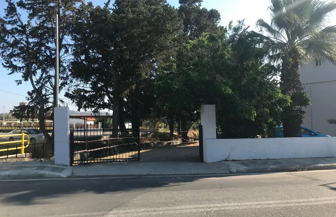 Orfanos Studios-1