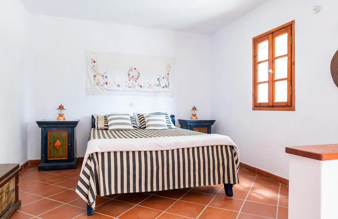 Ficus Traditional Apartments-1