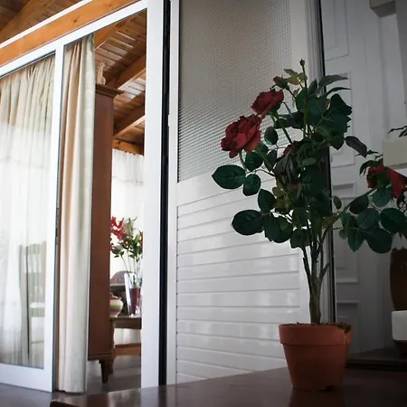 Stavros Amazing Apartment In The Centre Of Kos-2