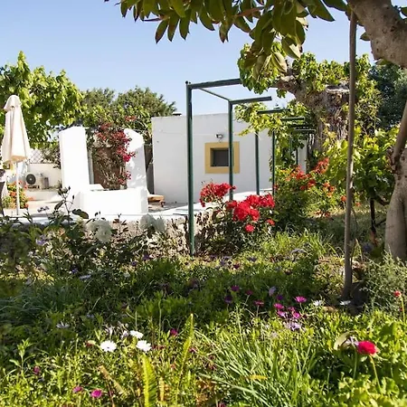 Villa Peleziki-3