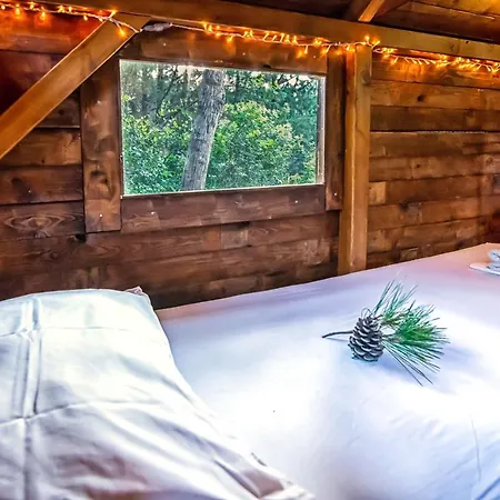 Drolma Ling Nature Cabins-2