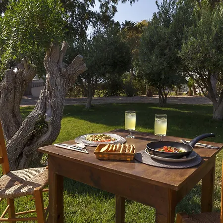 Eco Beach And Magic Garden Hotel-3