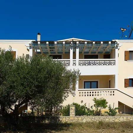 Olive Epavlis-2