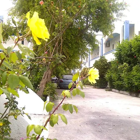 Thalassa Studios-2