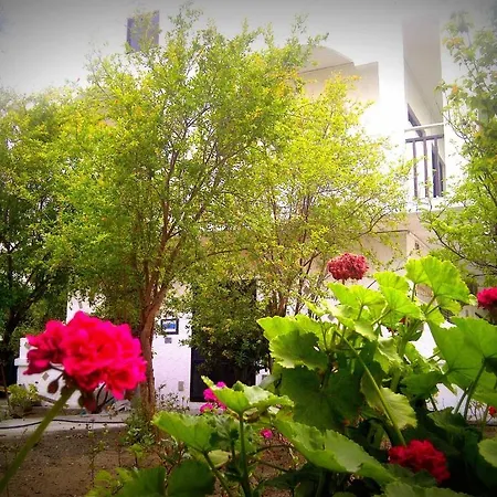 Thalassa Studios-3