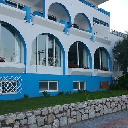 Celadi Vista-2