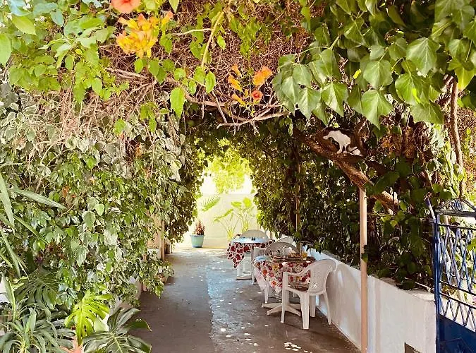 Afroditi Pension Archangelos 