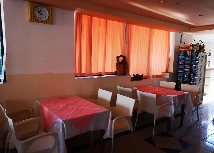 Huisdiervriedelijke Nest Hotel Faliraki