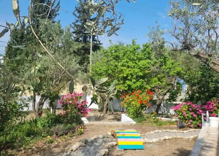 Arocaria - Faliraki peaceful apartments che accetta animali