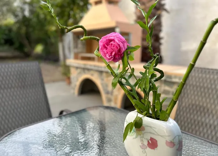 Pet friendly Lina'S Amazing House In Ialysos Villa Ixia 