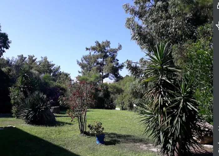Trees Art Hotel Ialysos 