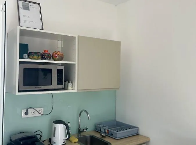 Huisdiervriedelijke Leventis Studios 1 Faliraki