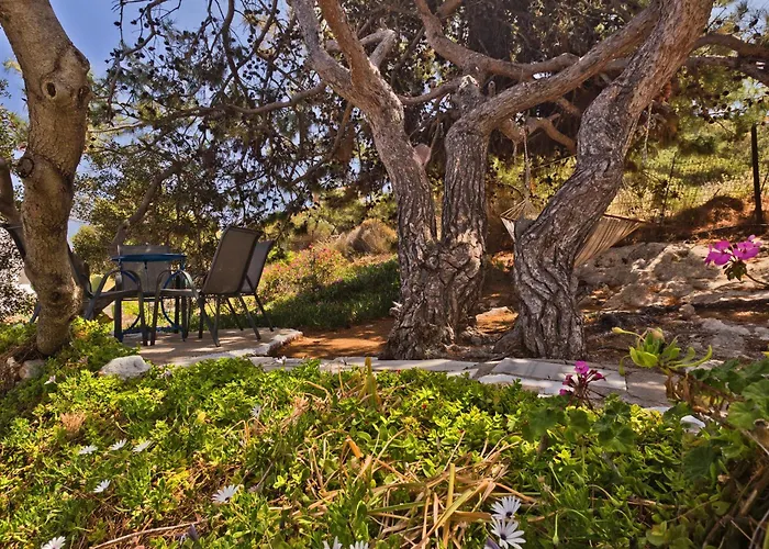 Chc Sound Of The Sea Aparthotel Karpathos