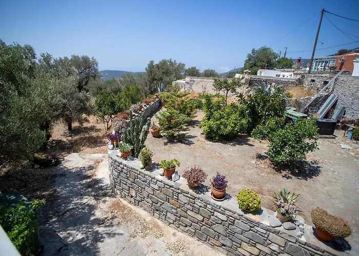 Star Sianna Village Rooms To Let Siana admite animales