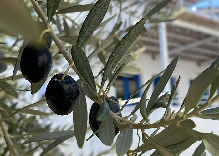 Aparthotel Lindos Athena