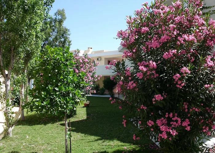 Iris Hotel Afandou