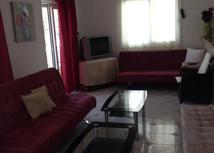 Zefyros Hotel Rhodes City admite animales